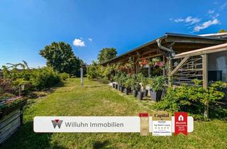 Haus kaufen in 04838 Zschepplin, Ein- oder Mehrfamilienwohnen, Gewerbe, Vermietung - alles möglich! Gartenidylle, Kamin, Wintergarten