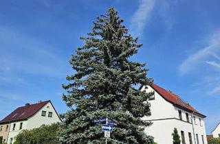 Doppelhaushälfte kaufen in Oberbürgermeister Arnold Straße, 99974 Mühlhausen, Doppelhaushälfte, sanierungsbedürftig in guter ruhiger Lage der Stadt MHL, zu verkaufen :)