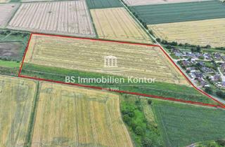 Grundstück zu kaufen in 26723 Wybelsum, Ackerland mit hoher Bodenpunktzahl gegen Höchstgebot zu verkaufen!