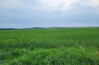 Grundstück zu kaufen in 18195 Cammin, Baugrundstücke umgeben von purer Landschaft