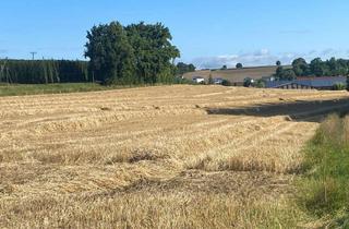 Immobilie kaufen in 84094 Elsendorf, Verkauf gegen Gebot - Ackerfläche der Gemarkung Mitterstetten