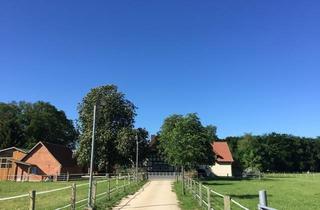 Lager kaufen in 27327 Martfeld, Hofanlage sehr gepflegt für bis zu 20 Pferde in herrlicher Alleinlage