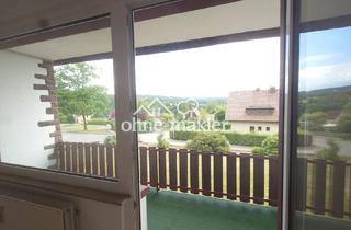 Wohnung mieten in Waldwinkel, 37603 Holzminden, Gepflegte 2 Zimmer Wohnung mit Balkon, großem Garten optional mit Stellplatz