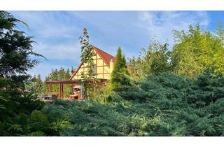 Einfamilienhaus kaufen in 18276 Zehna, Zehna - Wunderschönes Anwesen mit Einfamilienhaus Badeteich und Nebengebäuden in traumhafter Alleinlage