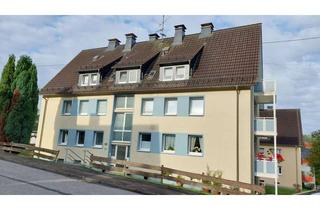 Wohnung mieten in Liesewaldstraße 18, 57223 Kreuztal, gemütliche, modernisierte EG-Wohnung mit Balkon und herrlichem Fernblick am Kreuztaler Liesewald