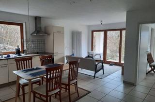Wohnung mieten in Panoramastr. 128, 69250 Schönau, Schöne 2-Zimmer-Wohnung mit Terrasse und EBK in Altneudorf