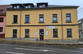 Wohnung mieten in Lungwitzer Str. 39, 08393 Meerane, Helle sonnige 2 Raumwohnung im Zentrum von Hohenstein-Ernstthal in Ruhiger Lage