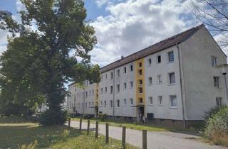 Wohnung mieten in An Der Schule, 04827 Machern, // Gemütliche 3 Zimmer-Wohnung // EBK inklusive // Bezug ab 08.2025 //