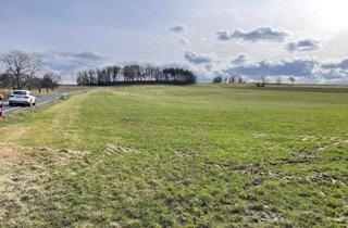 Grundstück zu kaufen in 01900 Bretnig-Hauswalde, Sonderpreis! Bauplatz am Feldrand in Bretnig-Hauswalde
