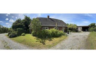 Einfamilienhaus kaufen in 25924 Rodenäs, Ländliche Idylle trifft auf modernen Komfort – Einfamilienhaus auf historischer Warft in Rodenäs