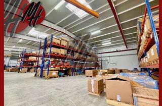 Büro zu mieten in 63179 Obertshausen, SCHNELL VERFÜGBAR ✓ Lager/Produktion (2.300 m²) & Büro (250 m²) zu vermieten