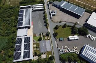 Gewerbeimmobilie kaufen in 33175 Bad Lippspringe, Zwei starke Gewerbestandorte – eine überzeugende Perspektive!