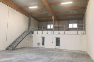 Büro zu mieten in 76877 Offenbach, Moderne Hallen mit Büro (370 m2) in Offenbach Queich im neuen Unihallen Gewerbepark zu vermieten