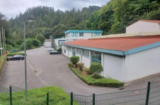 Gewerbeimmobilie kaufen in 69412 Eberbach, Repräsentatives Gewerbeareal mit Entwicklungspotenzial in Eberbach zu verkaufen!