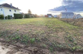 Grundstück zu kaufen in Weingartzhof, 53909 Zülpich, ***Ideales Grundstück für Bungalow m. Doppelgarage*** Neubaugebiet 53909 Zülpich-Sinzenich (Nr. 39)