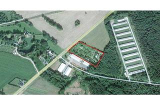 Grundstück zu kaufen in 09111 Zentrum, MEGA =》14146 QM BAUTRÄGERFREIES GRUNDSTÜCK IN NIEDERDORF !!