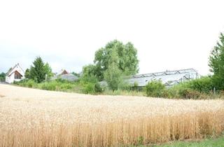 Grundstück zu kaufen in 64853 Otzberg, Wohnen am Feld: Baugrundstück in attraktiver Lage von Habitzheim