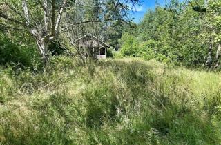 Grundstück zu kaufen in 27580 Lehe, Freizeitgrundstück: Naturidyll mit Potenzial