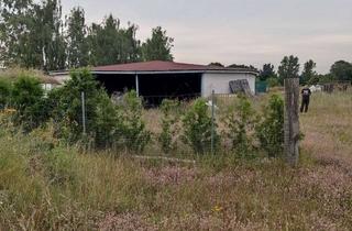 Grundstück zu kaufen in Am Hang, 17219 Ankershagen, Premium Immobilie im Nationalpark Müritz