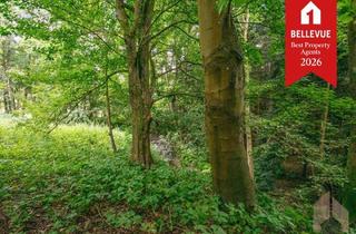 Grundstück zu kaufen in 53783 Eitorf, Attraktives Baugrundstück am Bachlauf – in zentraler Lage von Eitorf-Halft