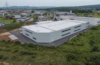 Büro zu mieten in 91301 Forchheim, Attraktive Neubau-Produktionsfläche mit Büroanteil in Forchheim
