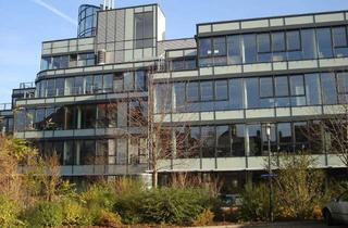 Büro zu mieten in Wörthstraße 15, 97082 Zellerau, Büro mit Terrasse und Blick ins Grüne, 241 qm, verkehrsgünstig und dennoch ruhig