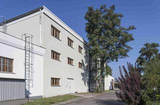 Büro zu mieten in Nennhauser Damm 180, 13591 Staaken, Bürofläche in Berlin **provisionfrei** zu vermieten