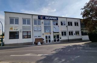 Büro zu mieten in Eisenwerk 1 a, 15234 Kliestow, Top Praxis- Büro- oder Verkaufsfläche, Wohnen (65 m²) möglich, in 1 a Gewerbelage