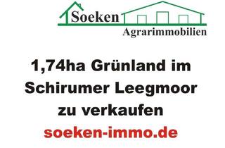 Gewerbeimmobilie kaufen in 26605 Aurich, Grünlandfläche im Schirumer-Leegmoor zu verkaufen *HF2507*