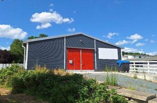 Geschäftslokal mieten in 08525 Plauen, Lagerhalle mit direkter LKW-Rampe in Reissig