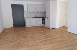 Wohnung mieten in 73466 Lauchheim, Erstbezug 2-Zimmer-EG-Wohnung, mit geh. Innenausstatt., inkl. Einbauküche + TG-Stellplatz, Terrasse
