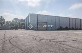 Gewerbeimmobilie mieten in 16225 Eberswalde, Großzügige Lagerhalle mit Kran und Gleisanschluss!