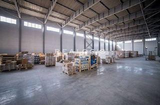 Gewerbeimmobilie mieten in 93096 Köfering, Köfering, ca. 3.812 m² neuwertige Lagerflächen inkl. Freifläche (teilbar) zu vermieten