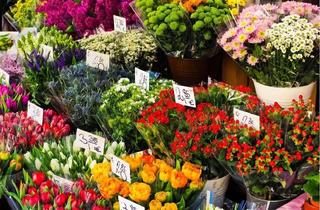 Geschäftslokal mieten in 12559 Köpenick, Provisionsfreie Leerfläche z.B. für einen Blumenladen in auffälligem Gebäude in TOP-Lage Köpenicks