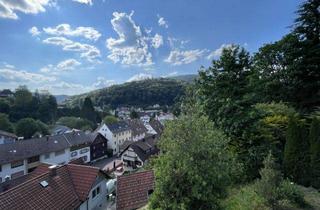 Haus kaufen in 76332 Bad Herrenalb, Aussergewöhnliches Architektenhaus in Bad Herrenalb