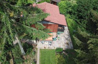 Haus kaufen in 31195 Lamspringe, Lamspringe - Wunderschönes Haus am Waldrand in Lamspringe zu verkaufen