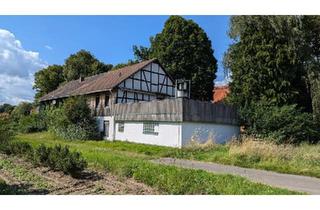 Reihenhaus kaufen in 34399 Oberweser, Wesertal - Charmantes dreistöckiges Reihenhaus in Lippoldsberg