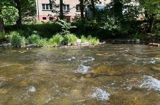 Mehrfamilienhaus kaufen in 07427 Schwarzburg, Schwarzburg - Schwarzburg, Mehrfamilienhaus direkt am Fluss, provionsfrei