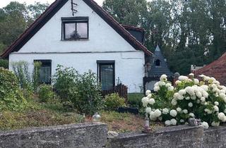 Einfamilienhaus kaufen in 06317 Seegebiet Mansfelder Land, Seegebiet Mansfelder Land - Kleines gemütliches Einfamilienhaus