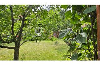 Haus kaufen in 27232 Sulingen, Sulingen - Idyllisches 5-Zimmer-Haus in Sulingen mit herrlichem Garten 700m²
