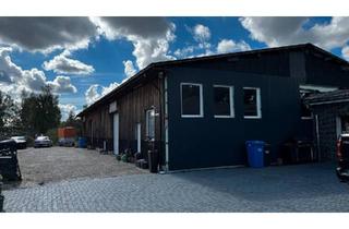 Haus kaufen in 38550 Isenbüttel, Isenbüttel - Industriehalle mit Bungalow in Isenbüttel