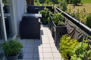 Wohnung mieten in 76744 Wörth, Helle 3,5-Zimmer-DG-Wohnung in Feldrandlage mit EBK in Maximiliansau