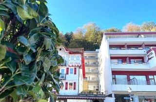 Wohnung mieten in Kurpromenade, 76332 Bad Herrenalb, 1 Zimmerwohnung möbliert im Herzen von Bad Herrenalb