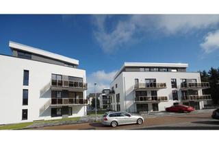 Wohnung mieten in Holzheimer Straße 51, 65549 Limburg, Neuwertige 2-Zimmer-EG-Wohnung mit geh. Innenausstattung, Terrasse und EBK