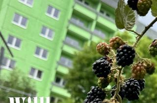 Wohnung mieten in Ernst-Thälmann-Straße, 04571 Rötha, Einziehen & Wohlfühlen: 1-Zimmer-Wohnung in Rötha