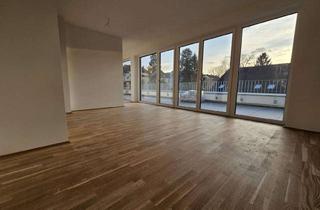 Penthouse mieten in Werner-Siemens-Straße 12 a, 75173 Südweststadt, Erstbezug: Moderne und stilvolle Penthouse-Wohnung mit großzügigen Balkonen in Pforzheim-Rod