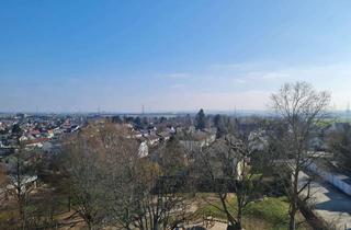 Penthouse mieten in 61440 Oberursel, Von Privat: Gut geschnittene Penthouse-Wohnung in gepflegtem und ruhigen Haus zu vermieten