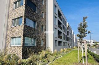 Wohnung mieten in 99085 Krämpfervorstadt, antaris Immobilien GmbH **3-Zimmer mit Loggia – Modern, ruhig, bezugsfertig**