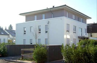 Wohnung mieten in 51469 Bergisch Gladbach, Hochwertige 2-Zimmer-Wohnung mit Sonnenterrasse (Wohnung C5)