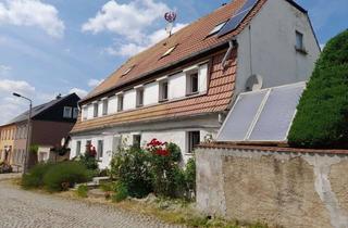 Haus kaufen in 01612 Nünchritz, Mehrgenerationenhaus mit großem Grundstück zu verkaufen! *Pool* *Garage* *Einliegerwohnung*